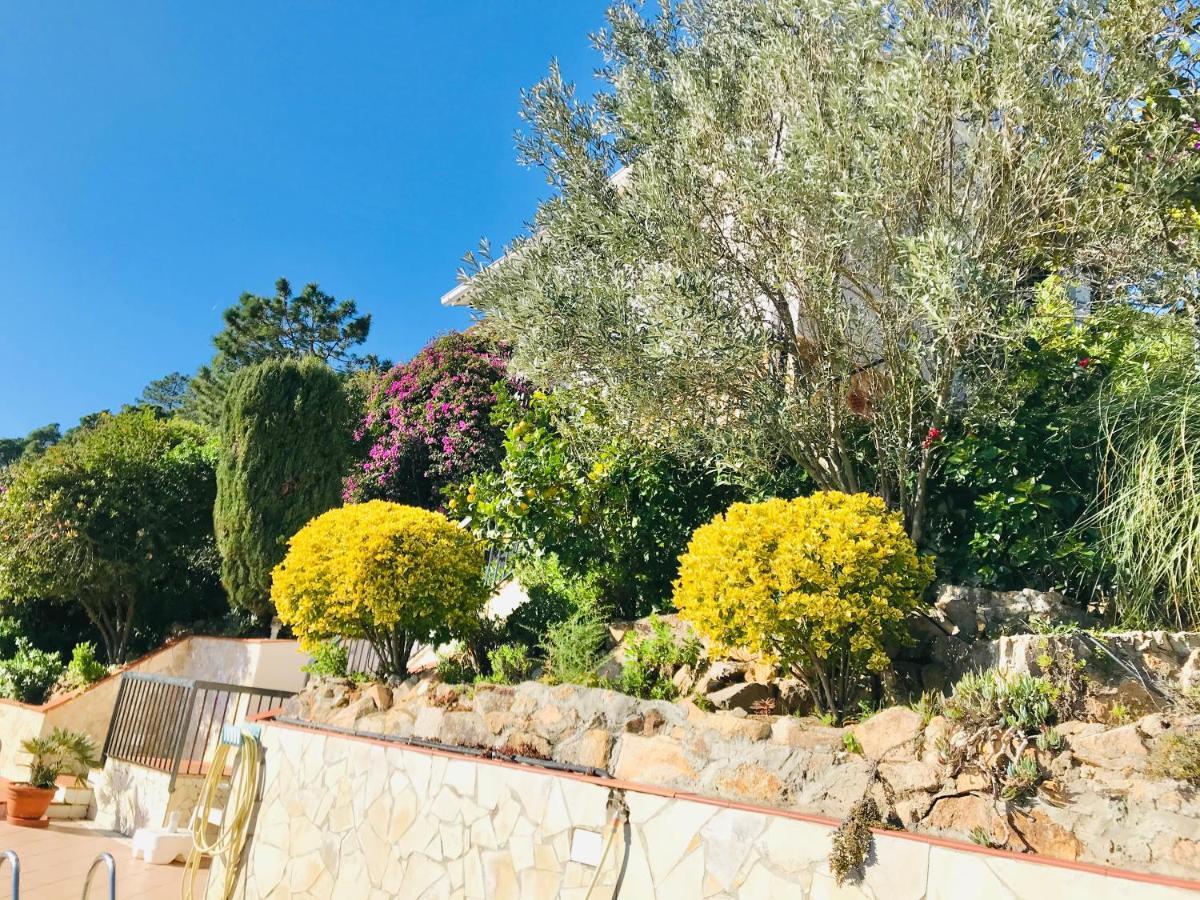 Mediterranean Villa Investingspain Sea View And Pool Lloret de Mar Eksteriør billede